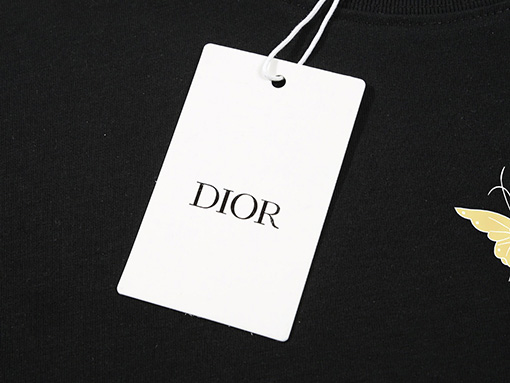 ディオールロゴプリント トレンド感抜群 半袖Tシャツ