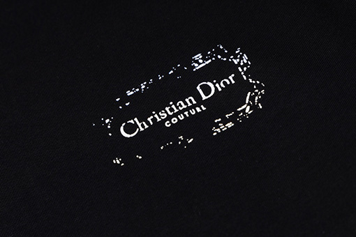 ディオールラバープリント工芸 フロント バック ロゴプリントTシャツ