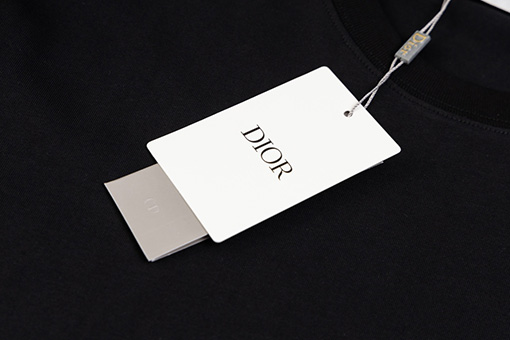 ディオールラバープリント工芸 フロント バック ロゴプリントTシャツ