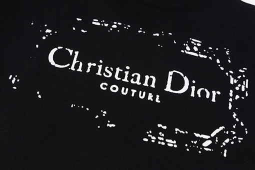 ディオールラバープリント工芸 フロント バック ロゴプリントTシャツ