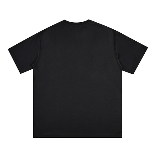 ディオールロゴスプレープリント 半袖Tシャツ