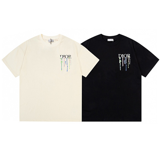 ディオール水源保護 ロゴプリント 半袖Tシャツ