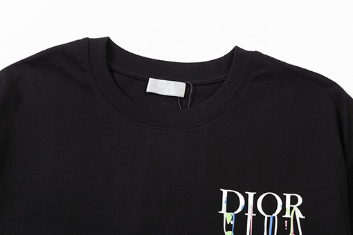 ディオール水源保護 ロゴプリント 半袖Tシャツ
