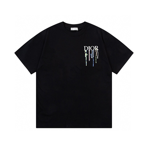 ディオール水源保護 ロゴプリント 半袖Tシャツ