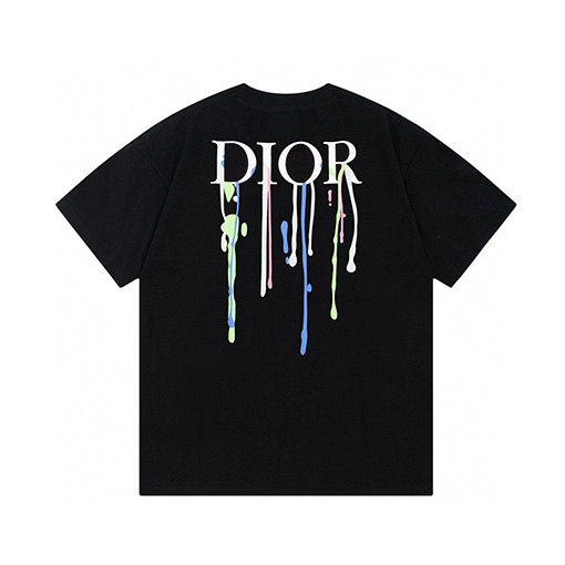ディオール水源保護 ロゴプリント 半袖Tシャツ