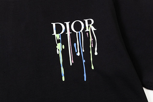 ディオール水源保護 ロゴプリント 半袖Tシャツ