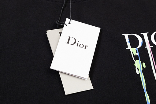 ディオール水源保護 ロゴプリント 半袖Tシャツ