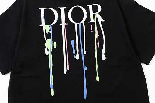 ディオール水源保護 ロゴプリント 半袖Tシャツ