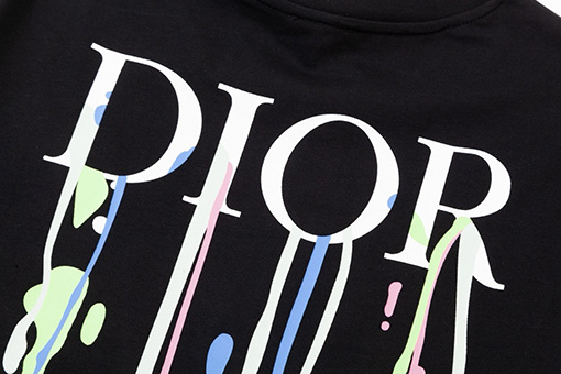 ディオール水源保護 ロゴプリント 半袖Tシャツ