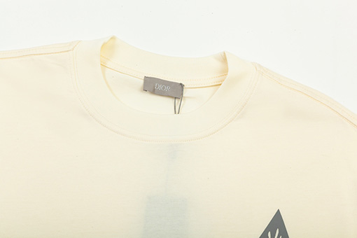 ディオールCDロゴ 風景プリント 半袖Tシャツ