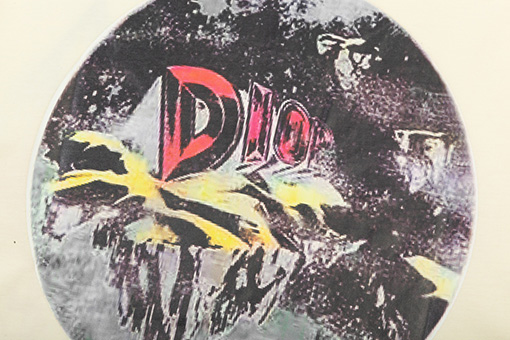 ディオールCDロゴ 風景プリント 半袖Tシャツ