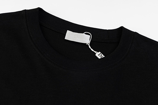 ディオール 高品質ラバープリント 半袖Tシャツ