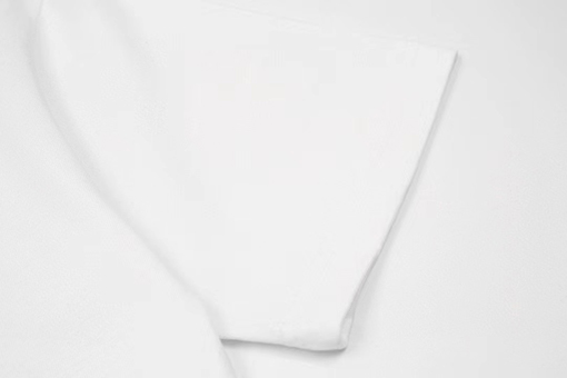 ルイヴィトンバードモチーフ ビッグロゴ 半袖Tシャツ