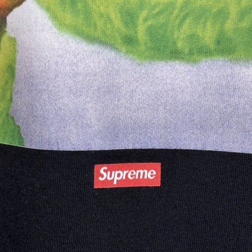 シュプリーム X Aphex Twin SS25 Donkey Rhubard 長袖Tシャツ