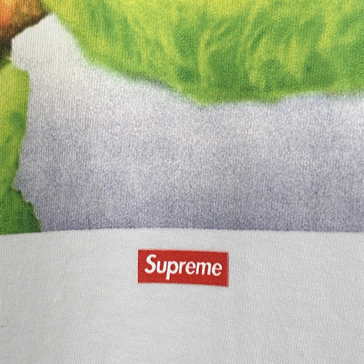 シュプリーム X Aphex Twin SS25 Donkey Rhubard 長袖Tシャツ