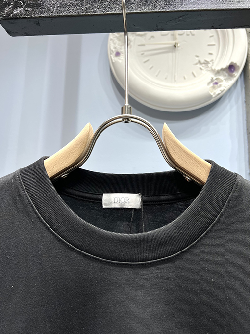 ディオール 蛇年限定 カスタム 半袖Tシャツ 