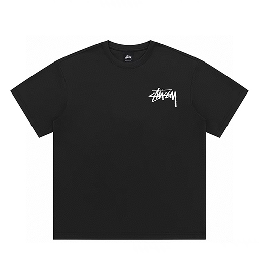 ステューシースポーティーで強靭なタフギア 半袖Tシャツ