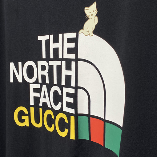 THE NORTH FACE TNF X GUCCI半袖Tシャツ