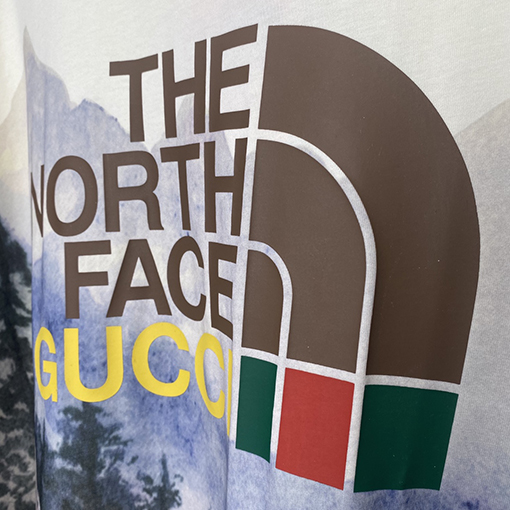 THE NORTH FACE TNF X GUCCIフォレストTシャツ