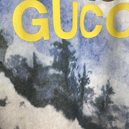 THE NORTH FACE TNF X GUCCIフォレストTシャツ
