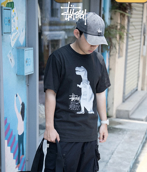 STUSSY SS25 BIG MEATY TEE PIGMENT DYED ティラノサウルスTシャツ