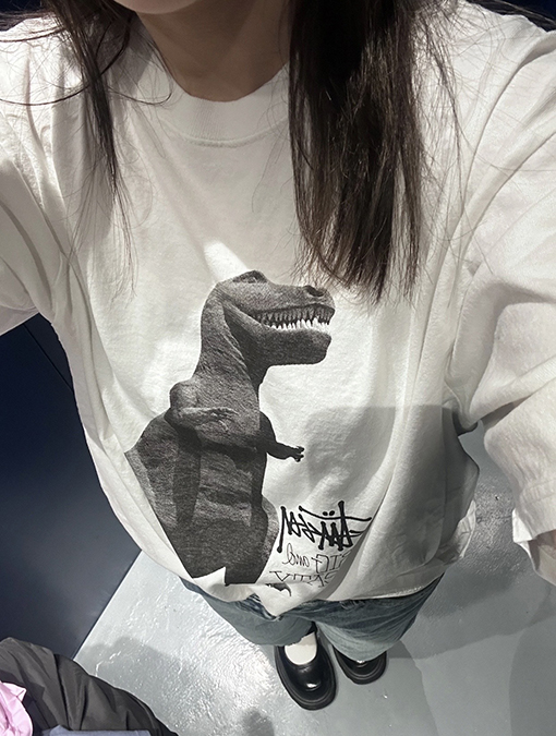 STUSSY SS25 BIG MEATY TEE PIGMENT DYED ティラノサウルスTシャツ