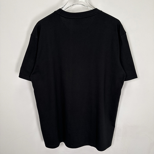 STUSSY SS25 BIG MEATY TEE PIGMENT DYED ティラノサウルスTシャツ