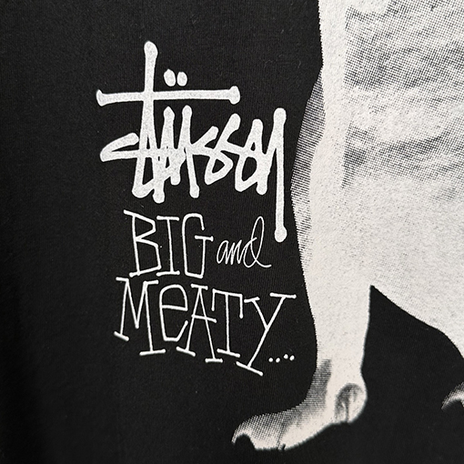 STUSSY SS25 BIG MEATY TEE PIGMENT DYED ティラノサウルスTシャツ