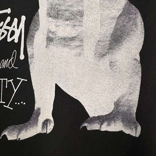STUSSY SS25 BIG MEATY TEE PIGMENT DYED ティラノサウルスTシャツ