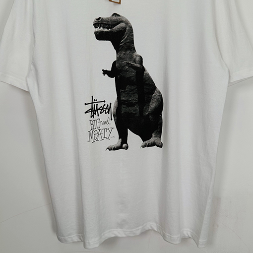 STUSSY SS25 BIG MEATY TEE PIGMENT DYED ティラノサウルスTシャツ