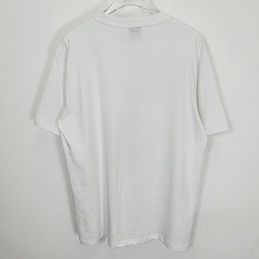 STUSSY SS25 BIG MEATY TEE PIGMENT DYED ティラノサウルスTシャツ