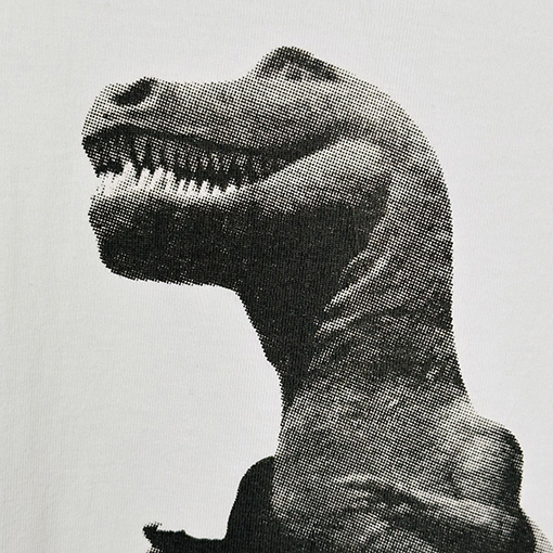 STUSSY SS25 BIG MEATY TEE PIGMENT DYED ティラノサウルスTシャツ