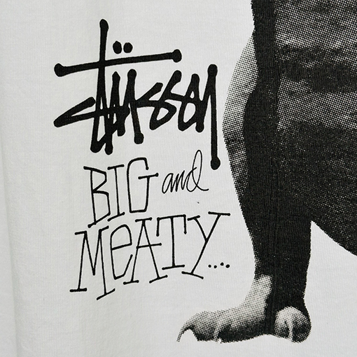 STUSSY SS25 BIG MEATY TEE PIGMENT DYED ティラノサウルスTシャツ
