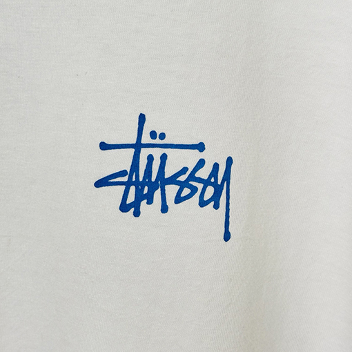 STUSSY SS25 X-RAY FISHIN TEE フィッシュボーンTシャツ