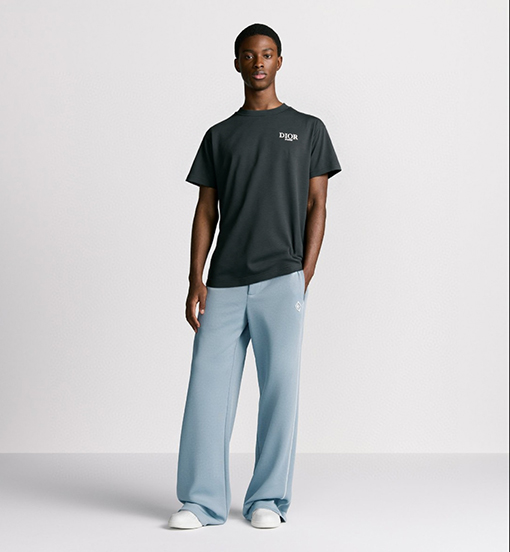 ディオール新しい色のロゴ半袖Tシャツ