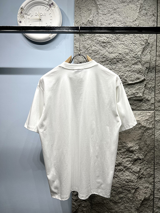 ディオール新しい色のロゴ半袖Tシャツ