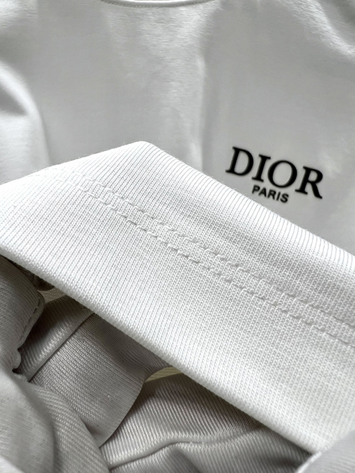 ディオール新しい色のロゴ半袖Tシャツ