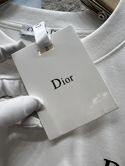 ディオール新しい色のロゴ半袖Tシャツ