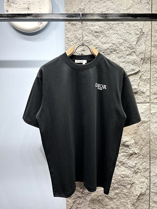 ディオール新しい色のロゴ半袖Tシャツ