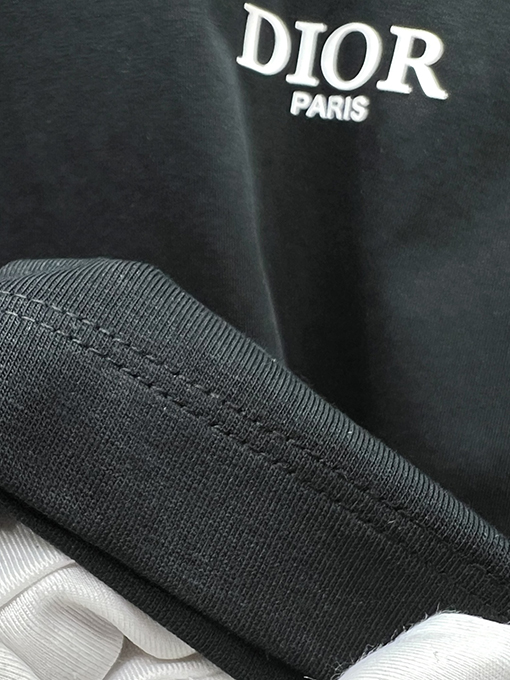 ディオール新しい色のロゴ半袖Tシャツ
