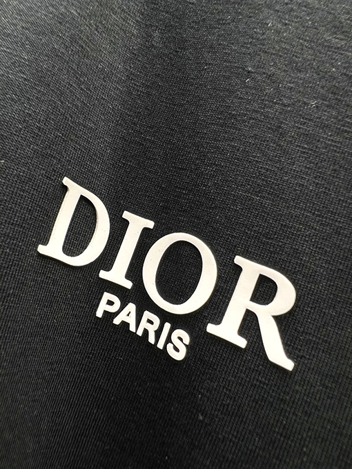 ディオール新しい色のロゴ半袖Tシャツ