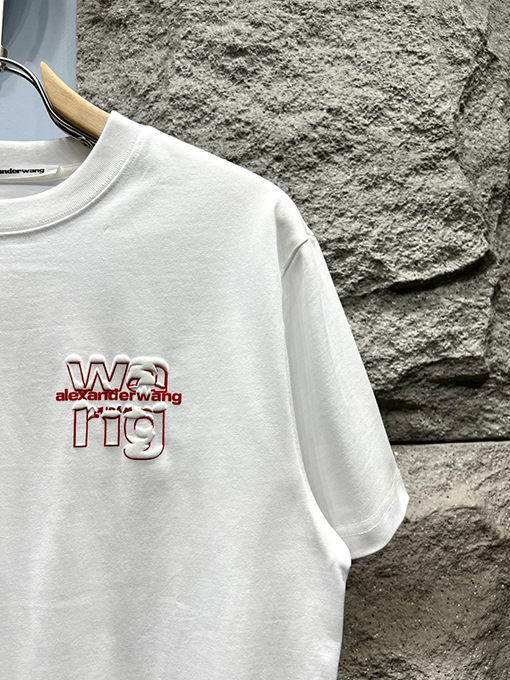 アレキサンダーワンコピー新しい雪山文字半袖Tシャツ