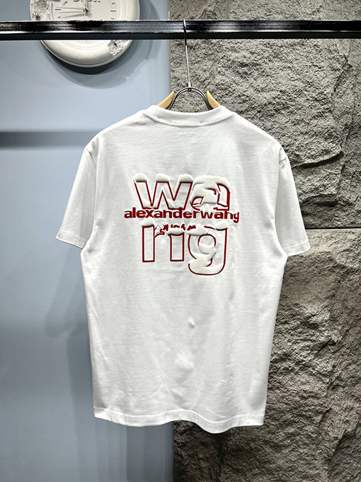 アレキサンダーワンコピー新しい雪山文字半袖Tシャツ