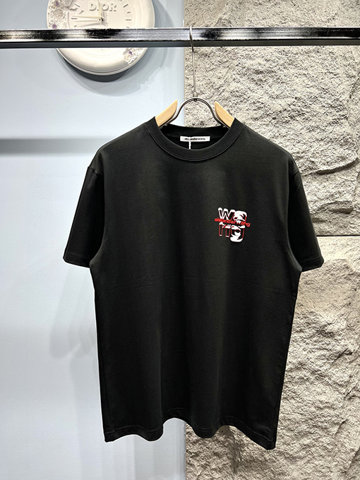 アレキサンダーワンコピー新しい雪山文字半袖Tシャツ