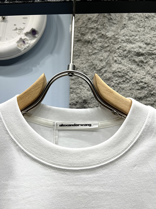 アレキサンダーワンコピー新しい雪山文字半袖Tシャツ
