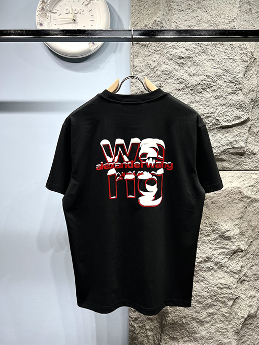 アレキサンダーワンコピー新しい雪山文字半袖Tシャツ