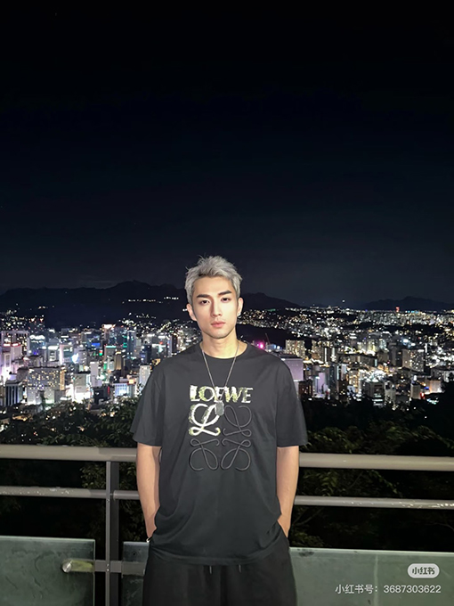 ロエベ刺繍半袖Tシャツ