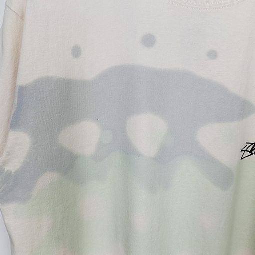 STUSSY SS25 LOW TIDE TEE サーファーTシャツ