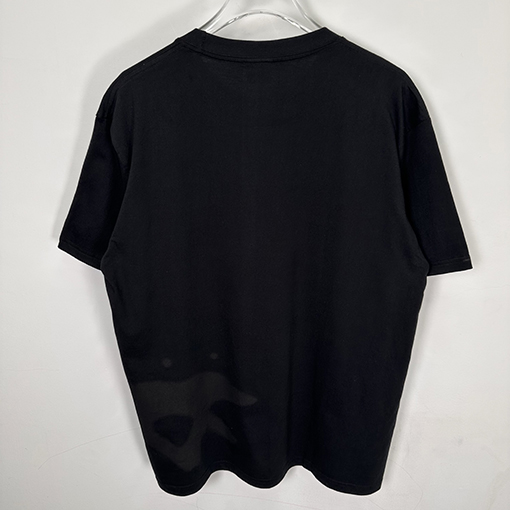 STUSSY SS25 LOW TIDE TEE サーファーTシャツ