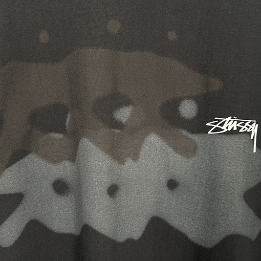 STUSSY SS25 LOW TIDE TEE サーファーTシャツ